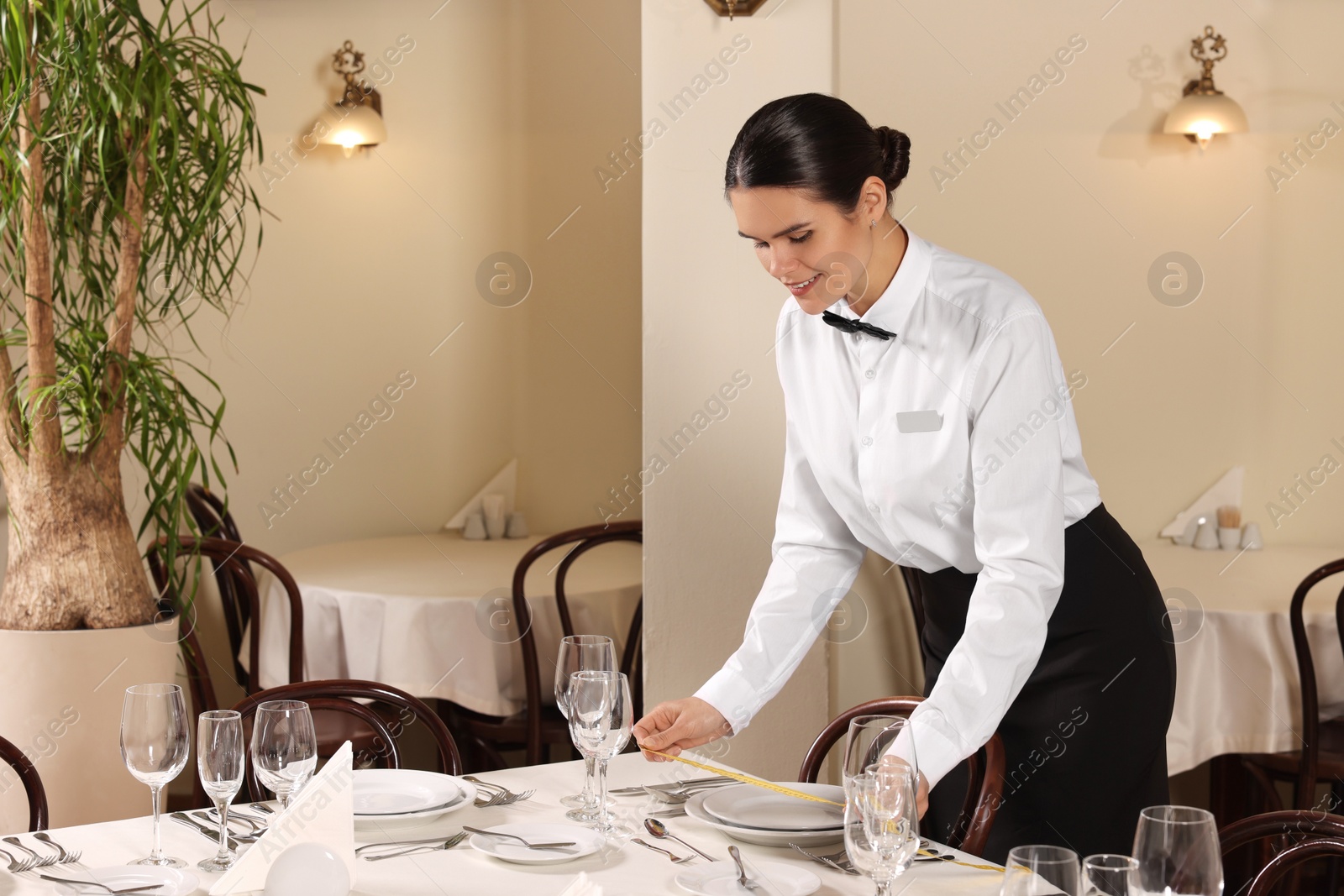 Photo of Woman setting table in restaurant. Professional butler courses