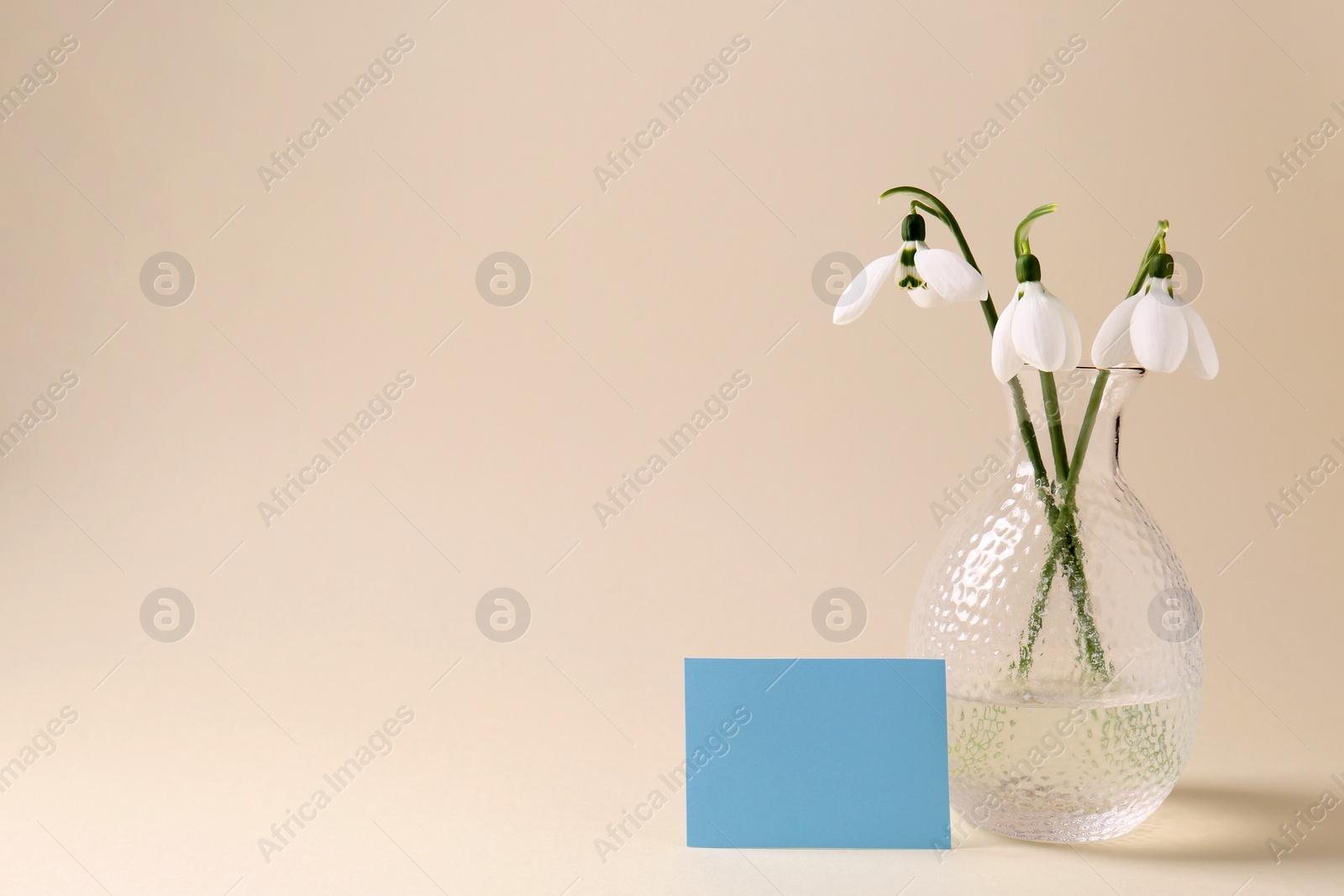 Photo of Beautiful snowdrops and paper card on beige background. Space for text