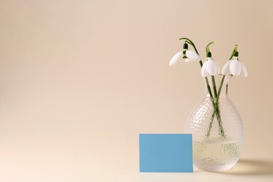 Photo of Beautiful snowdrops and paper card on beige background. Space for text