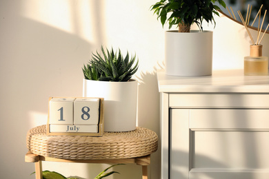 Photo of Wooden block calendar and succulent on wicker chair indoors