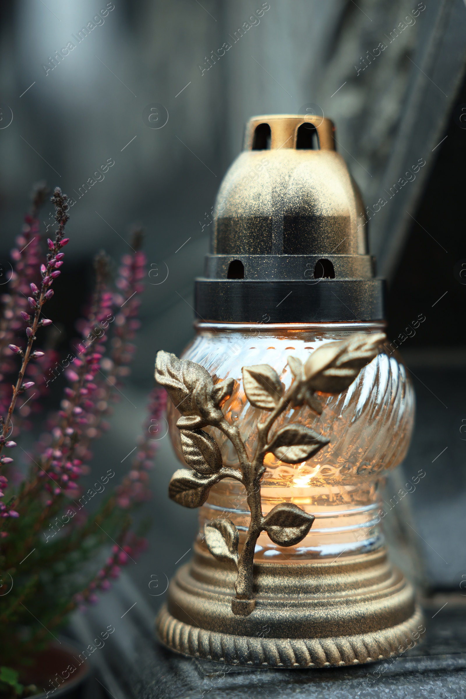 Photo of Grave light and potted heather on granite tombstone at cemetery, closeup