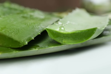 Fresh cut juicy aloe vera leaves on white table, closeup