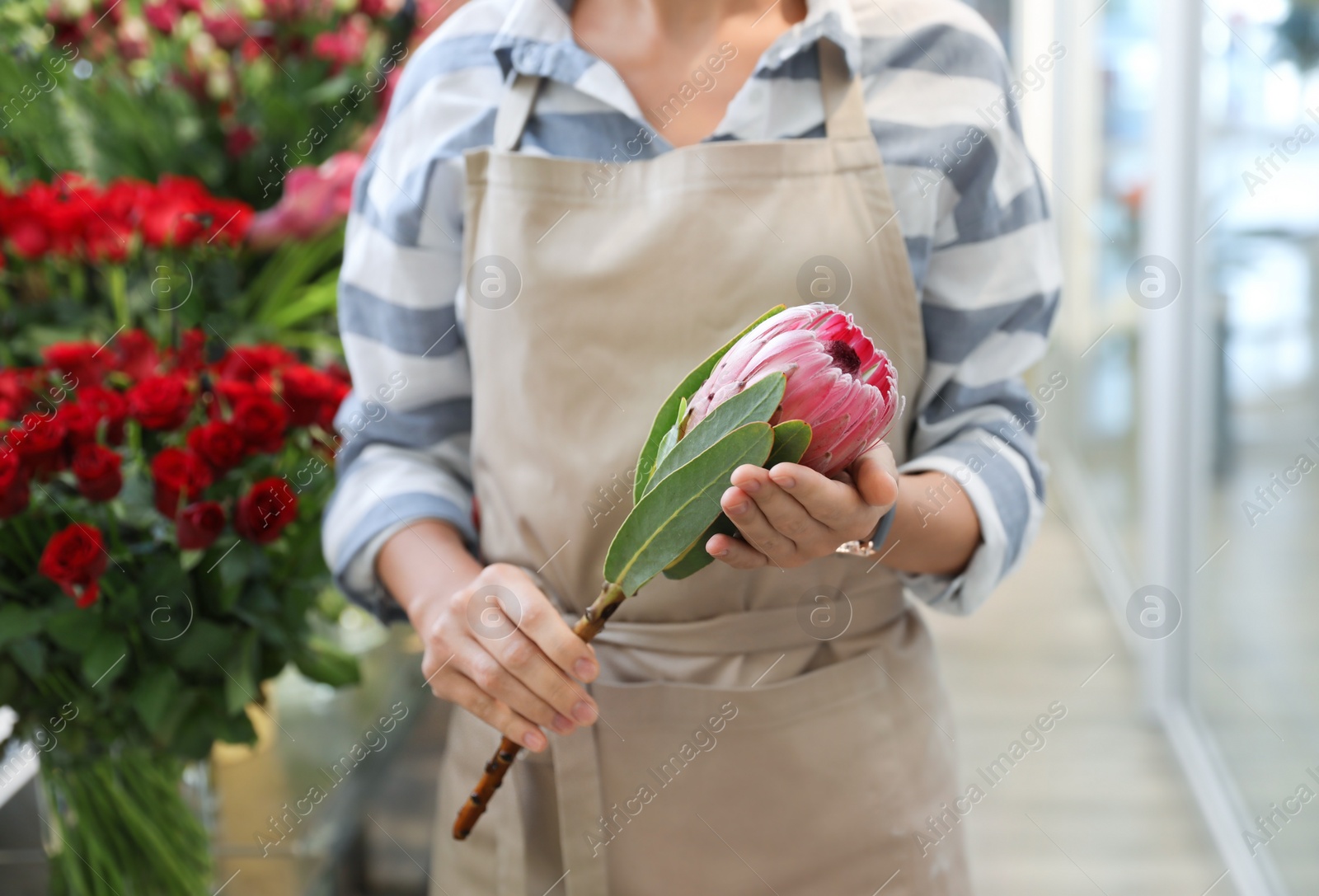 Photo of Female florist holding beautiful flower in shop