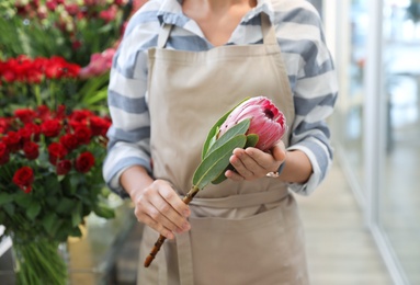 Photo of Female florist holding beautiful flower in shop