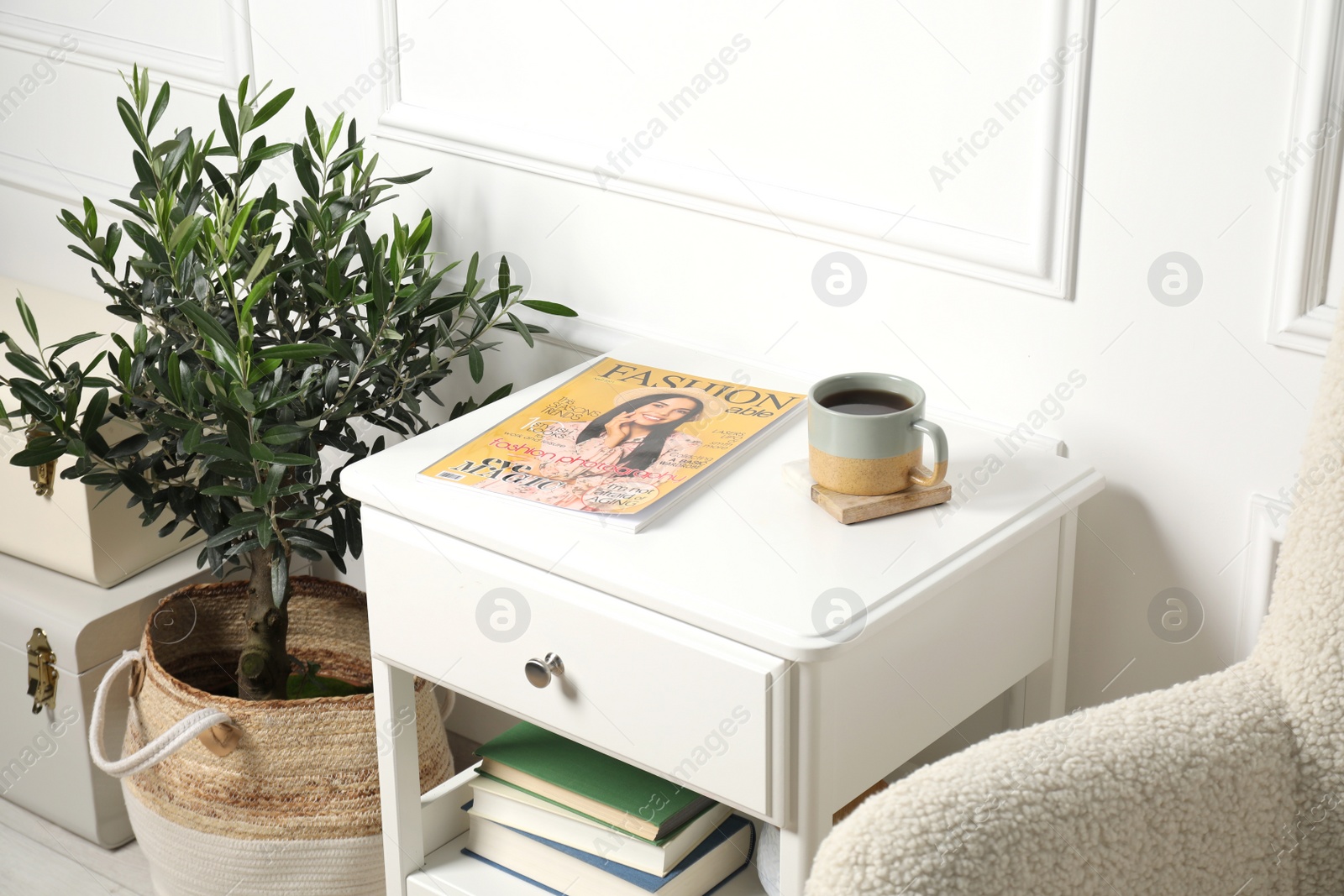 Photo of Beautiful young potted olive tree in living room. Interior element