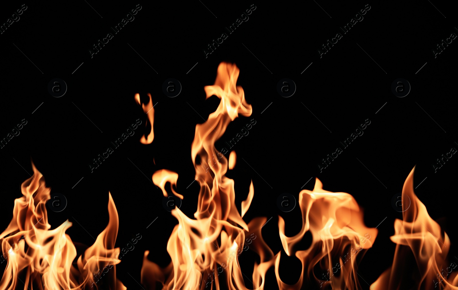 Photo of Beautiful bright fire flames on black background