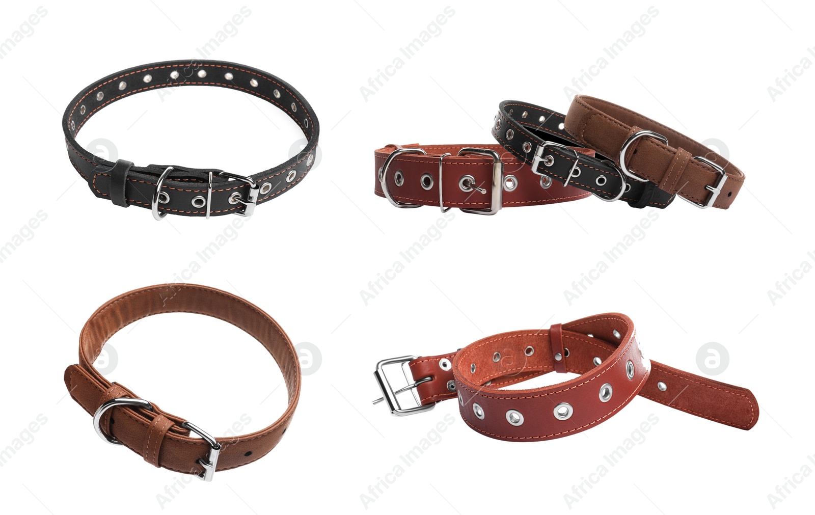 Image of Set with different leather dog collars on white background