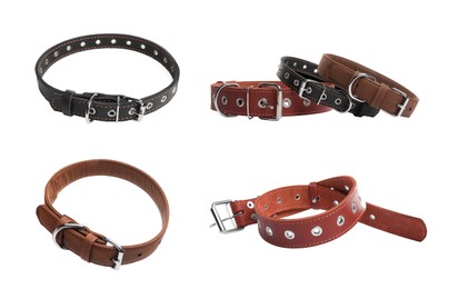 Image of Set with different leather dog collars on white background