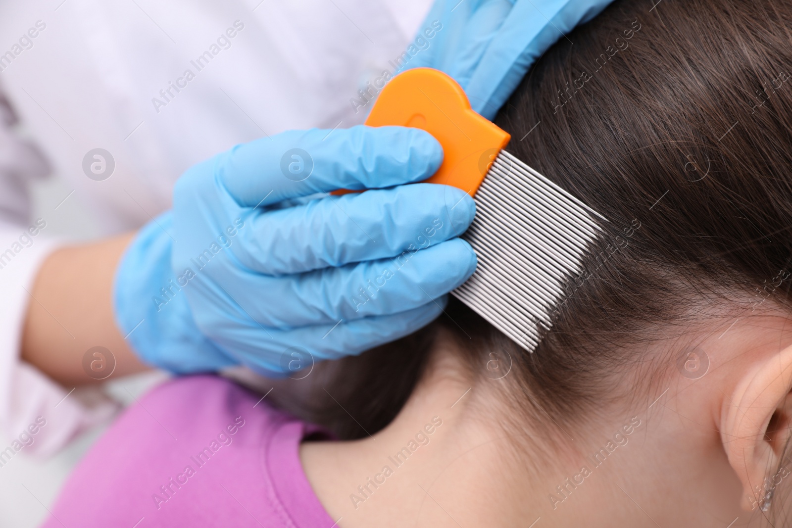 Photo of Doctor using nit comb on little girl's hair indoors. Anti lice treatment