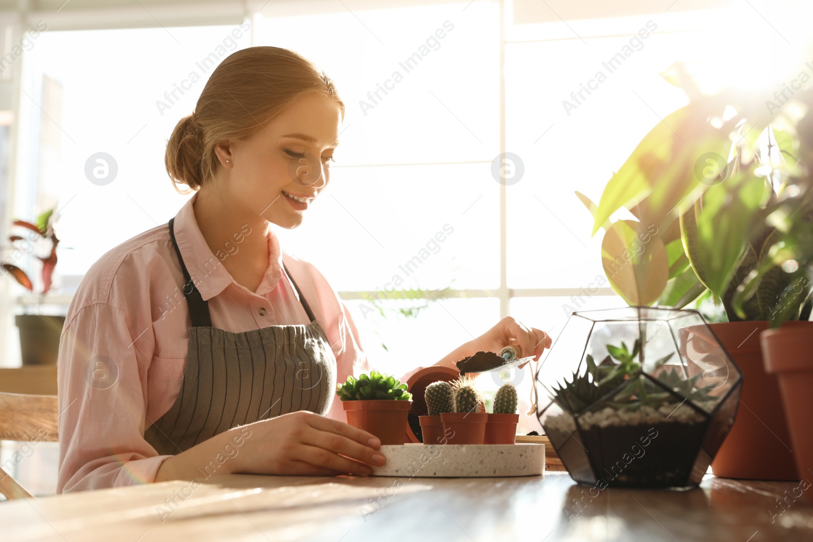 Photo of Young beautiful woman taking care of home plants at wooden table indoors