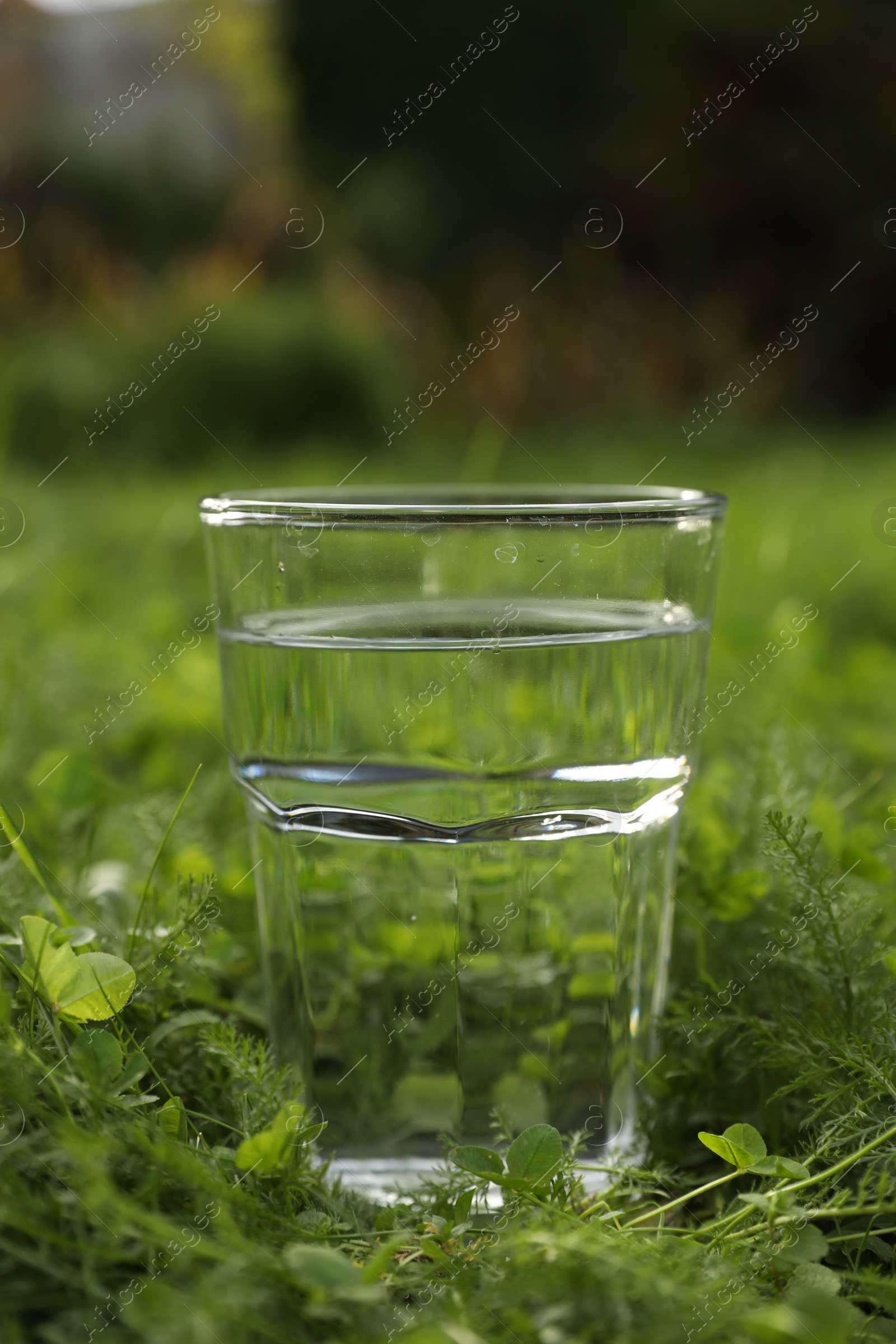 Photo of Glass of fresh water on green grass outdoors