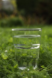 Glass of fresh water on green grass outdoors