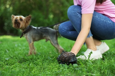 Photo of Woman picking up her dog's poop from green grass in park, closeup