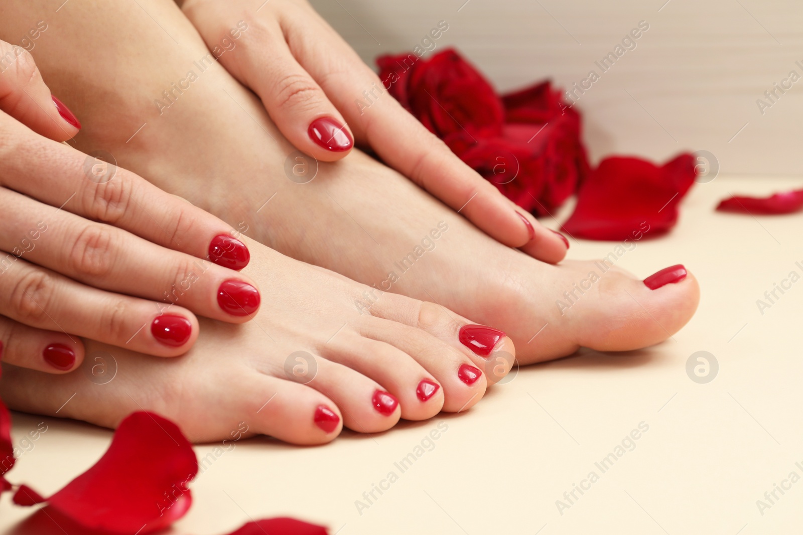 Photo of Woman with stylish red toenails after pedicure procedure and rose petals on beige background, closeup