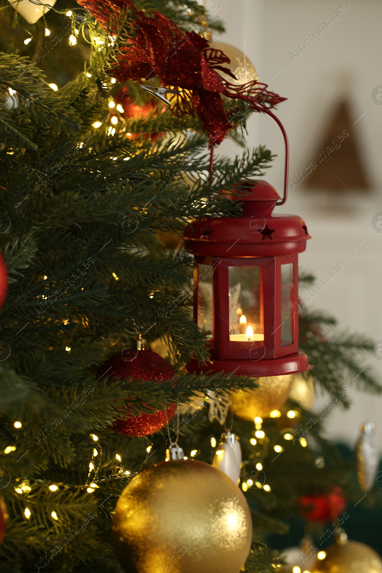 Photo of Christmas lantern with burning candle on fir tree against blurred background, closeup