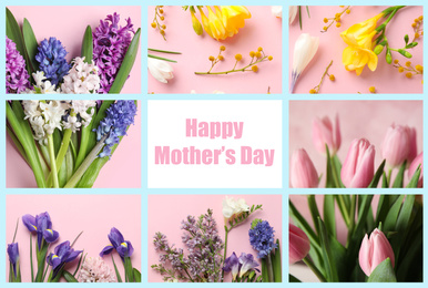 Image of Collage with photos of beautiful flowers and text Happy Mother's Day