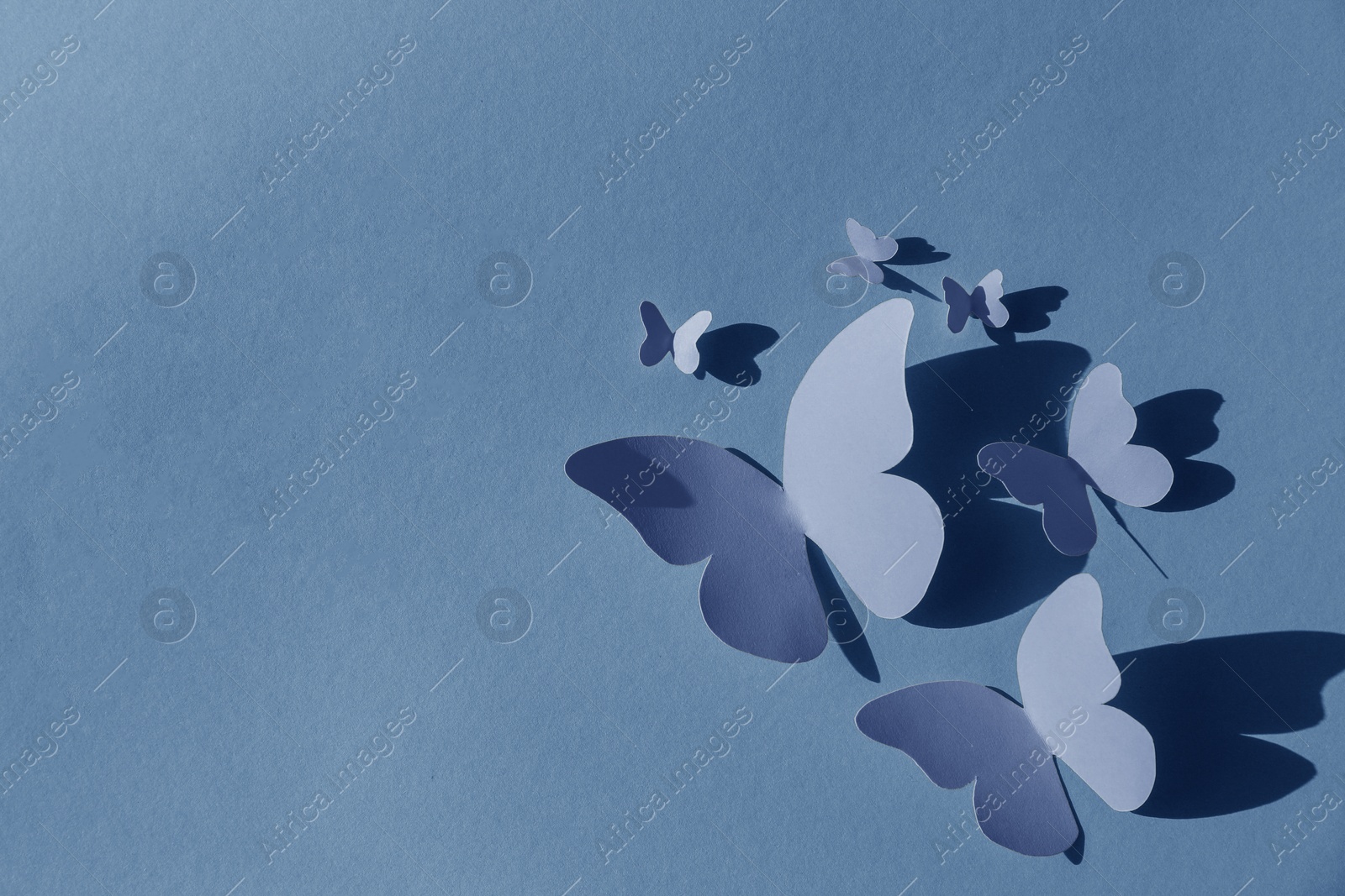 Image of Bright light blue paper butterflies on color background