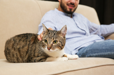 Photo of Man with tabby cat on sofa at home. Friendly pet