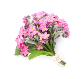 Bouquet of beautiful pink Forget-me-not flowers on white background, top view