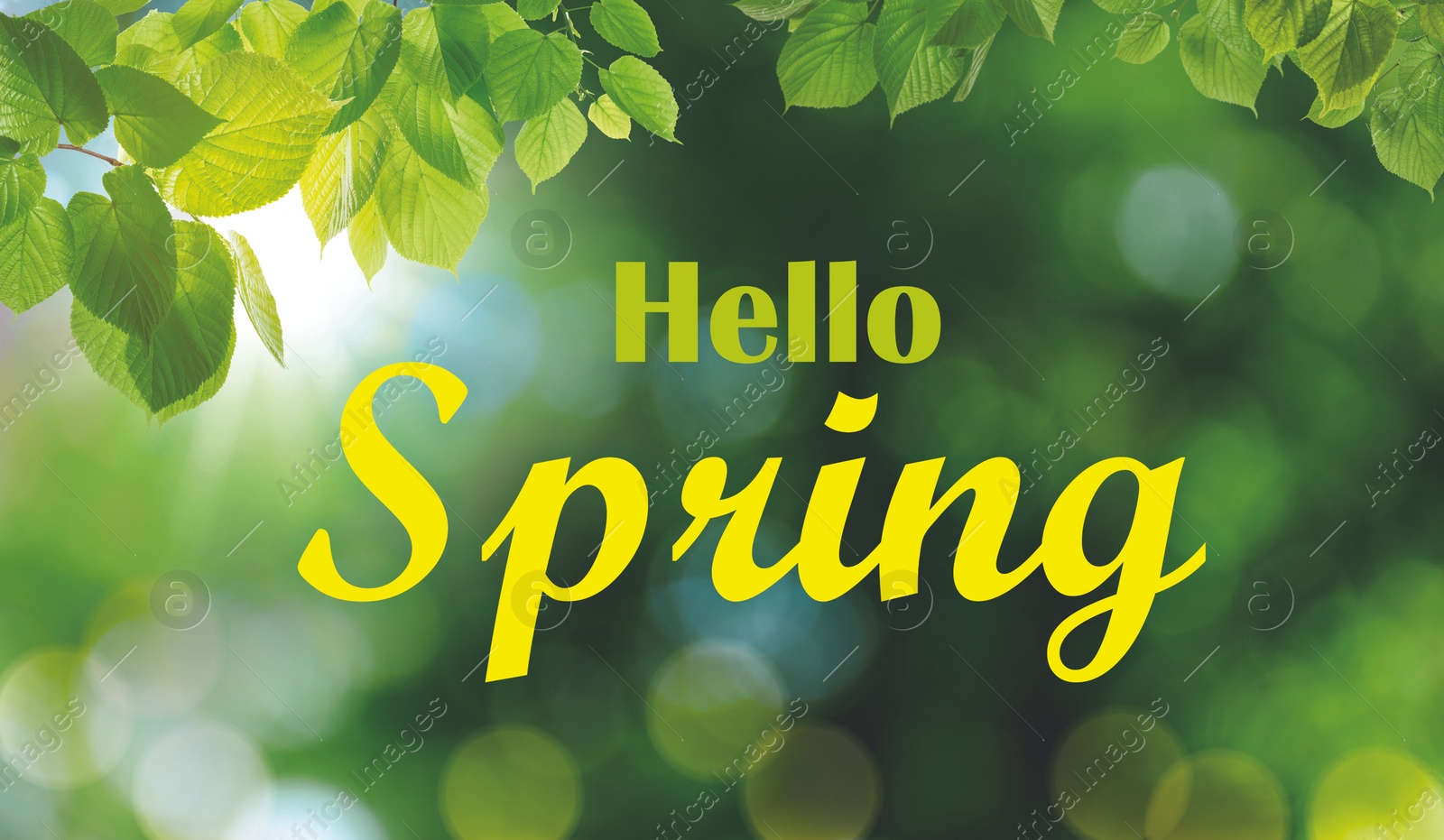 Image of Hello Spring card. Beautiful leaves on green background, bokeh effect. Banner design