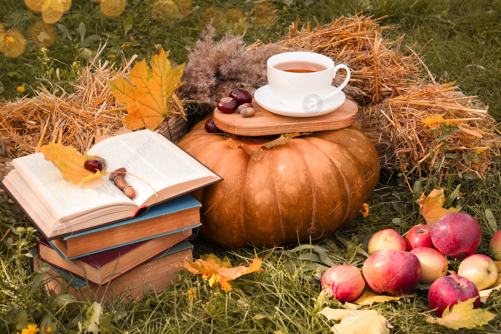 Photo of Books, pumpkin, apples and cup of tea on green grass outdoors. Autumn season