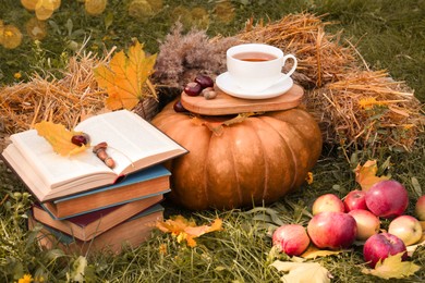 Photo of Books, pumpkin, apples and cup of tea on green grass outdoors. Autumn season