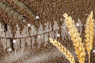 Grain prices. Ears of wheat, seeds and graph, double exposure