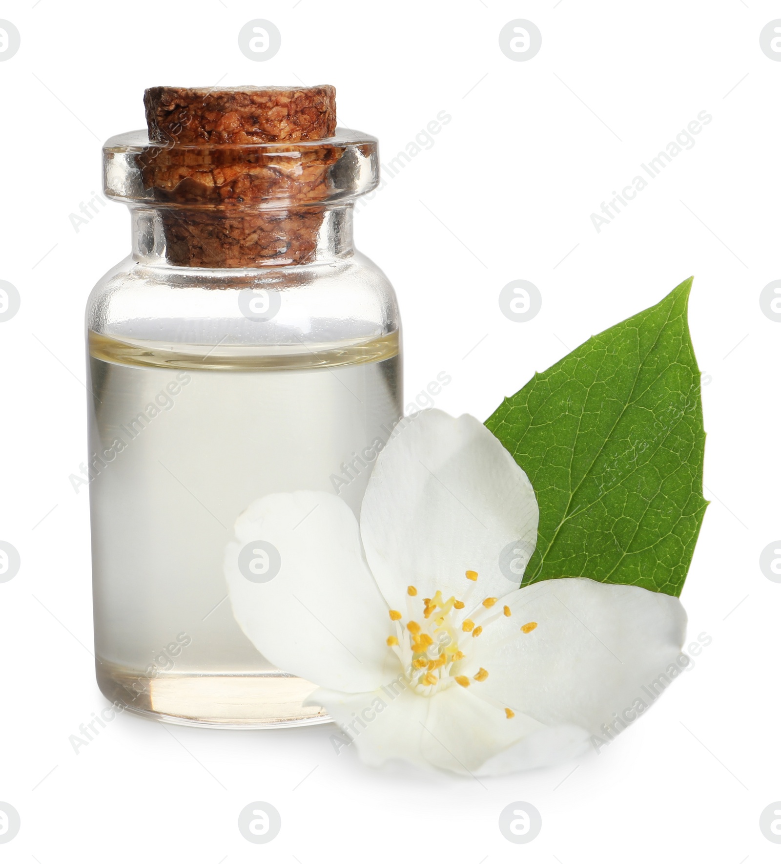 Photo of Jasmine essential oil and fresh flower on white background