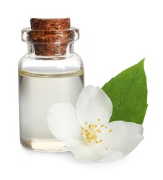 Photo of Jasmine essential oil and fresh flower on white background