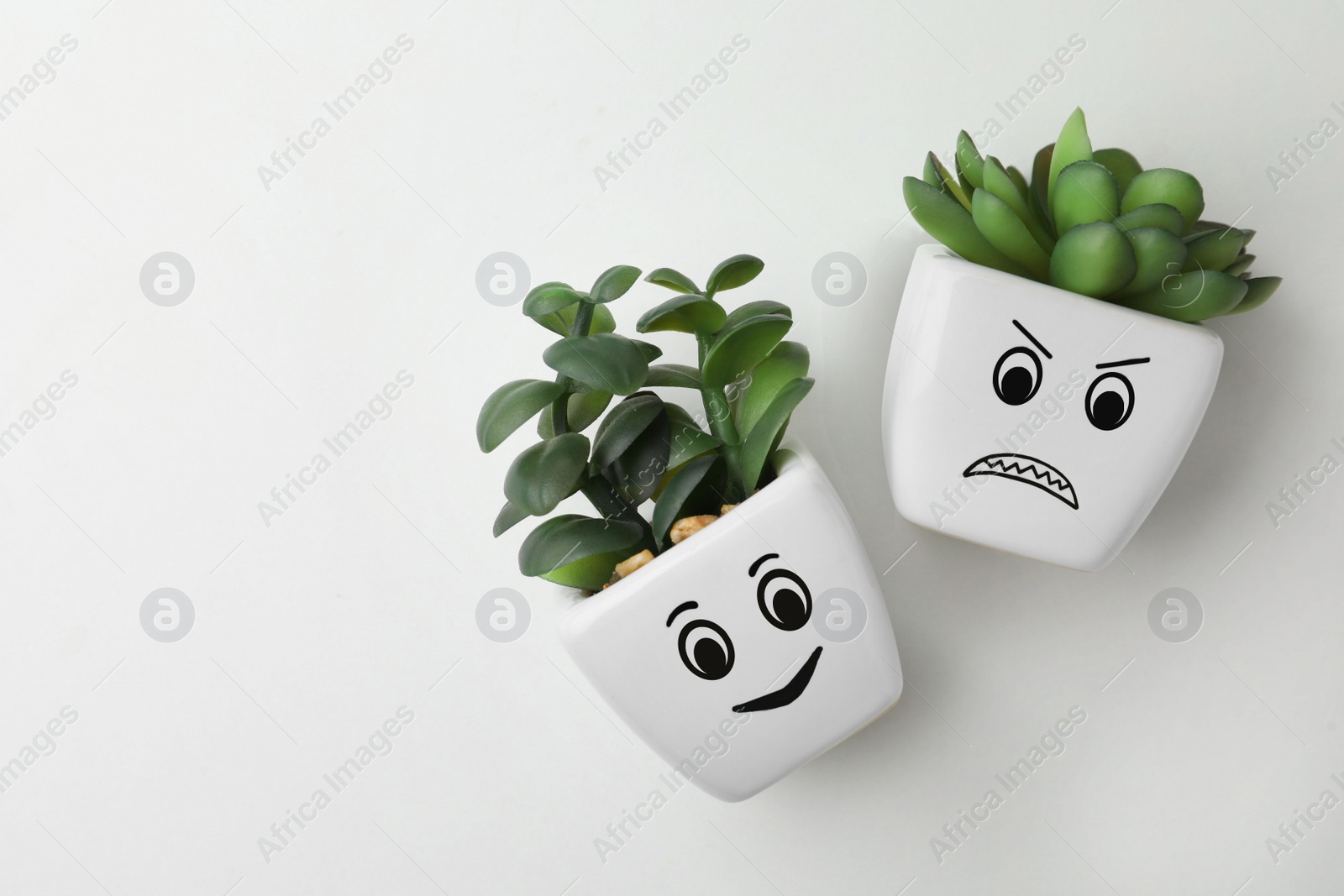 Photo of Top view of beautiful potted houseplants with angry and happy faces on white background, space for text. Emotional management