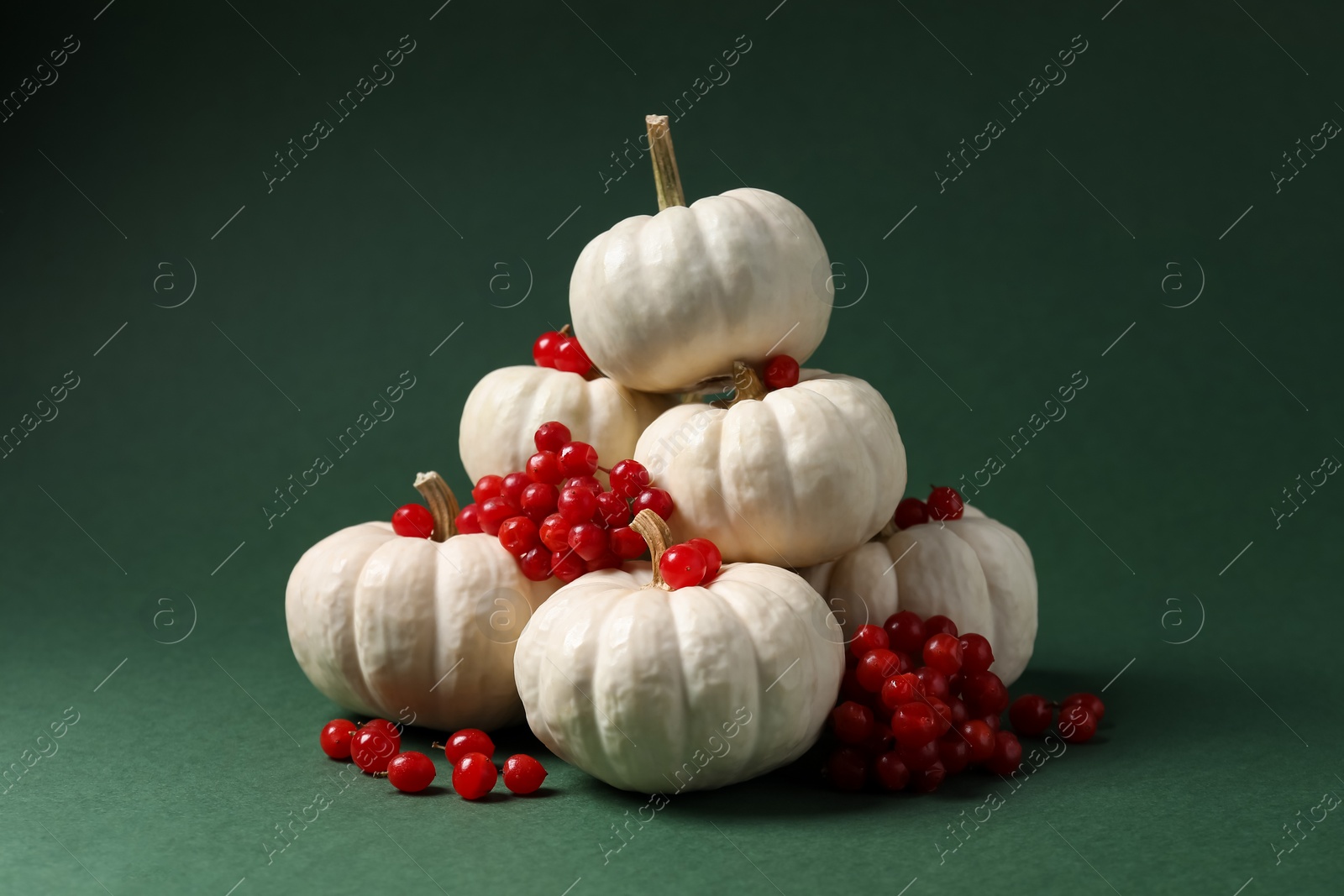 Photo of Happy Thanksgiving day. Beautiful composition with pumpkins and red berries on green background