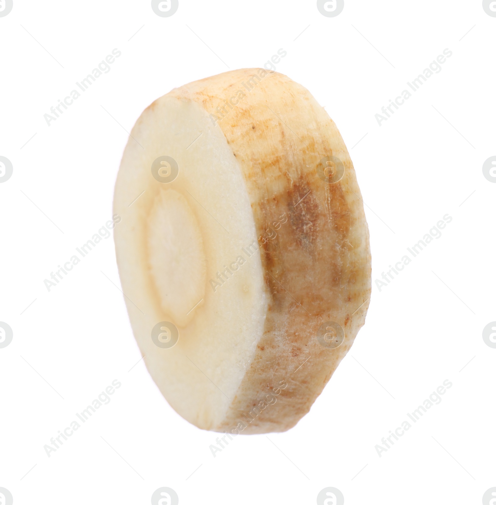 Photo of Piece of fresh parsnip isolated on white