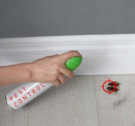 Image of Woman spraying insecticide onto cockroaches with gun target, closeup. Pest control