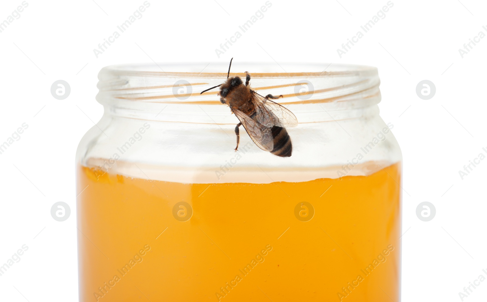 Photo of Jar with honey and bee on white background