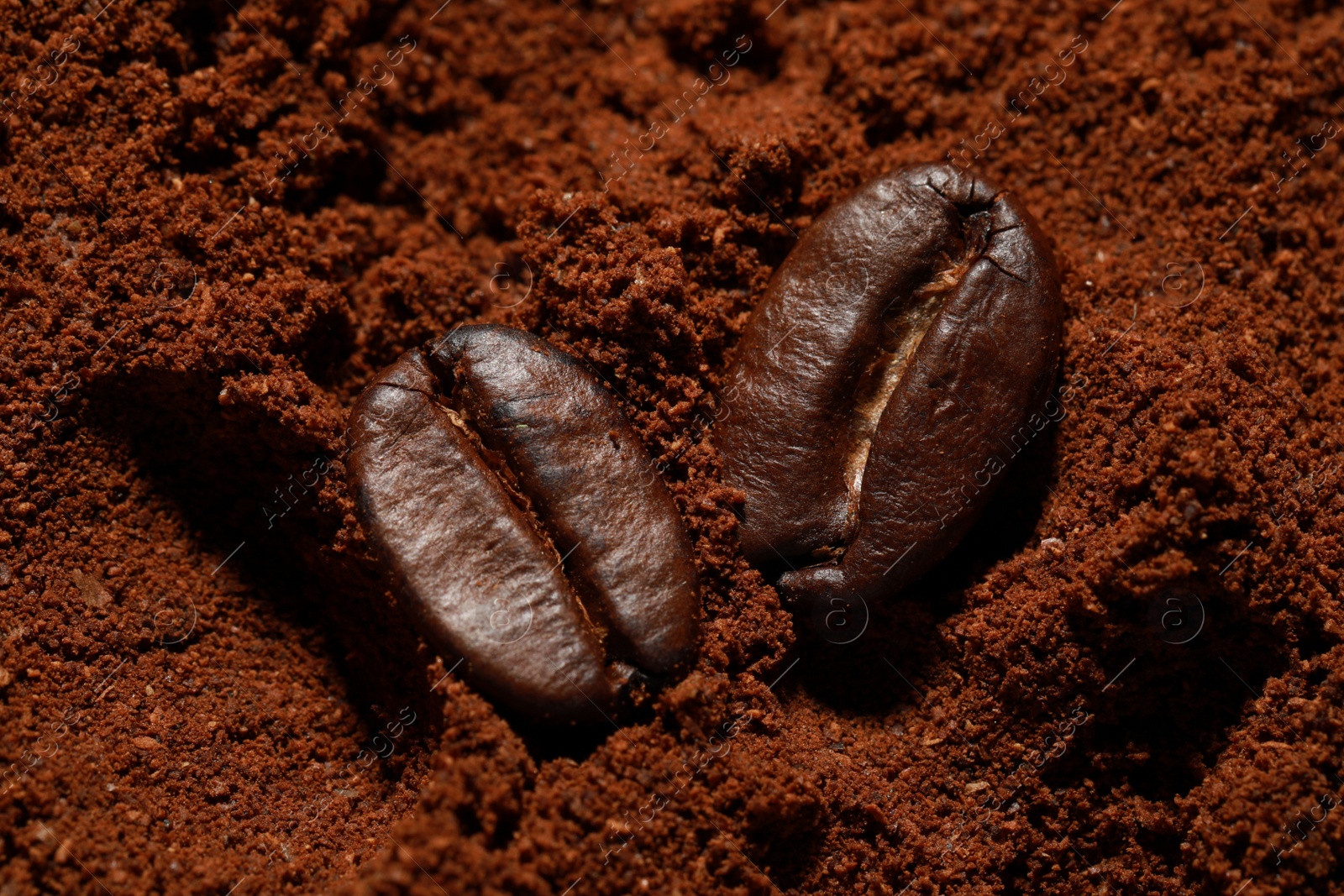 Photo of Roasted beans on ground coffee, flat lay