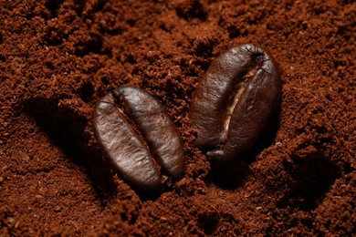 Roasted beans on ground coffee, flat lay