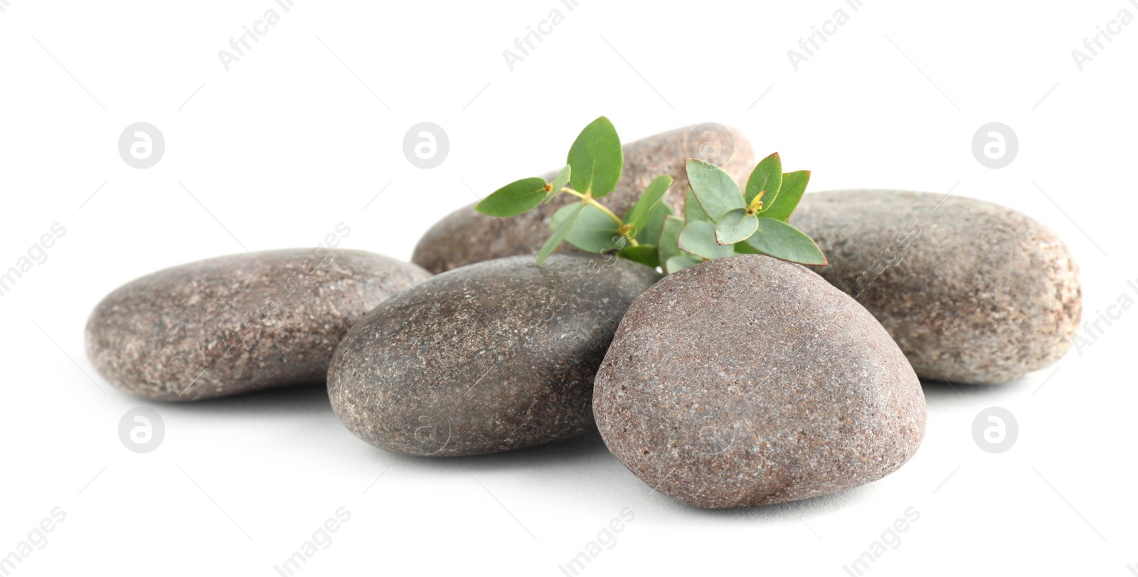 Photo of Spa stones with green branch isolated on white