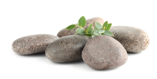 Spa stones with green branch isolated on white