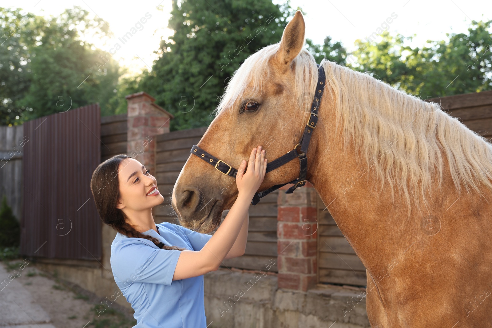 Photo of Veterinarian with adorable horse outdoors. Pet care