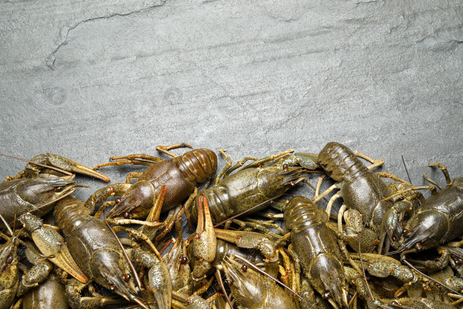 Photo of Fresh raw crayfishes on black table, flat lay. Space for text