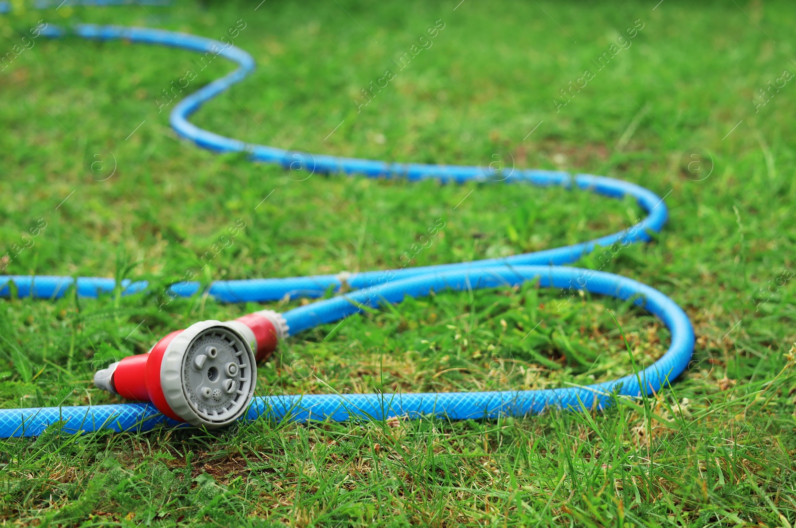 Photo of Watering hose with sprinkler on green grass outdoors, space for text