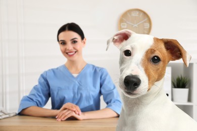 Image of Veterinarian doc with adorable dog in clinic