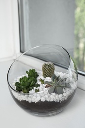 Photo of Glass florarium with different succulents on windowsill, space for text