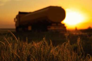 Modern truck near wheat field at sunset, selective focus