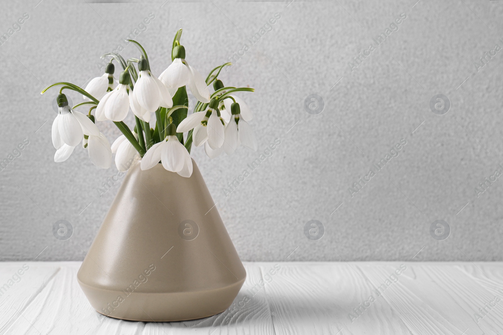 Photo of Beautiful snowdrops in vase on white wooden table, space for text