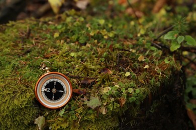 Photo of Compass on green moss, space for text