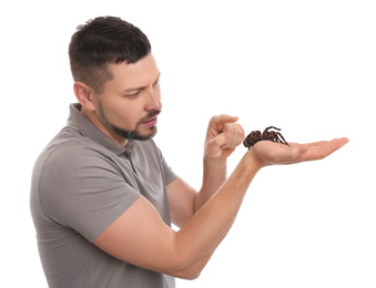Photo of Man holding striped knee tarantula on white background