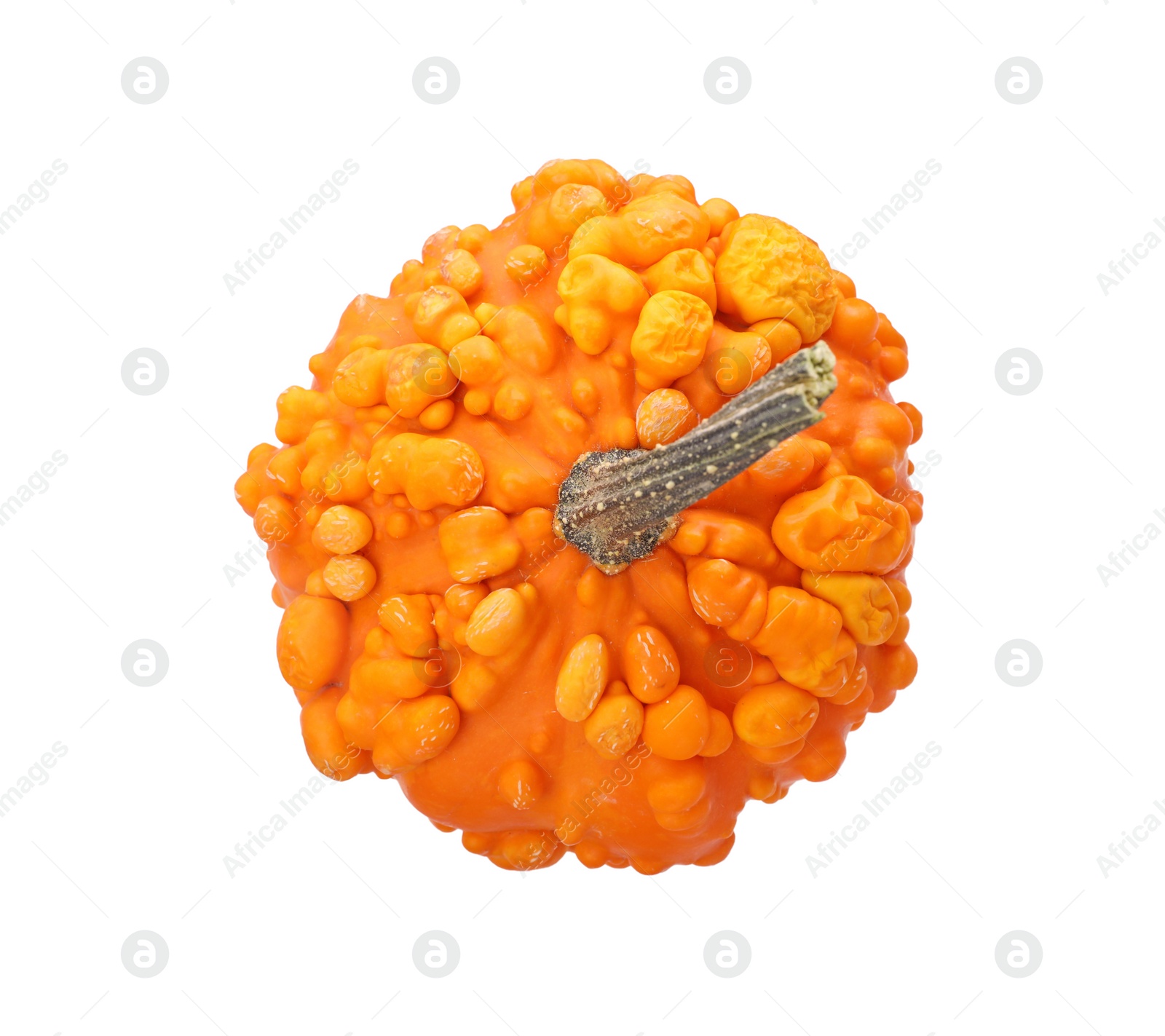 Photo of One fresh orange pumpkin isolated on white, top view