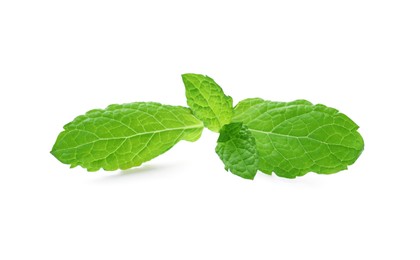Photo of Aromatic green mint sprig isolated on white. Fresh herb