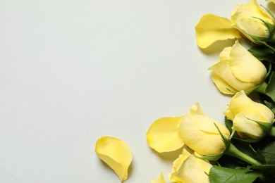 Beautiful yellow roses and petals on light grey background, flat lay. Space for text